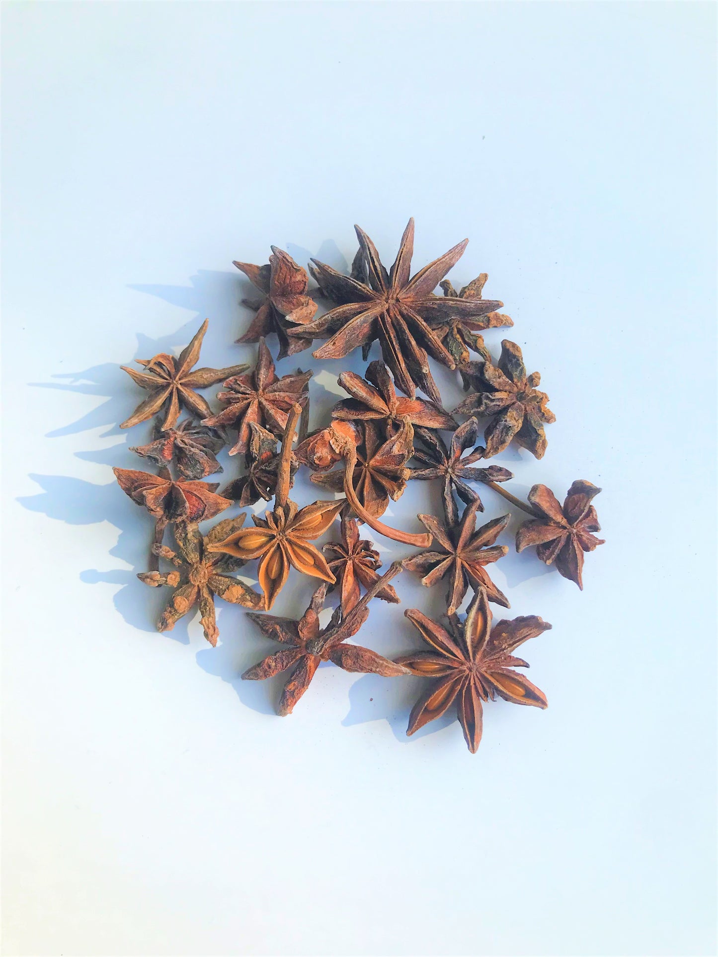 6" Beeswax Herb Pillar Candles